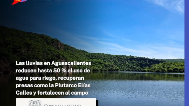 Las lluvias devuelven fuerza al campo de Aguascalientes: presas se recuperan y el riego agrícola cae hasta 50 %