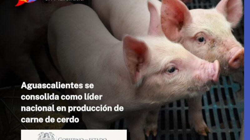 Aguascalientes se consolida como líder nacional en producción de carne de cerdo