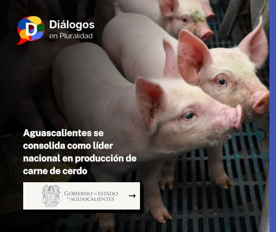Aguascalientes se consolida como líder nacional en producción de carne de cerdo