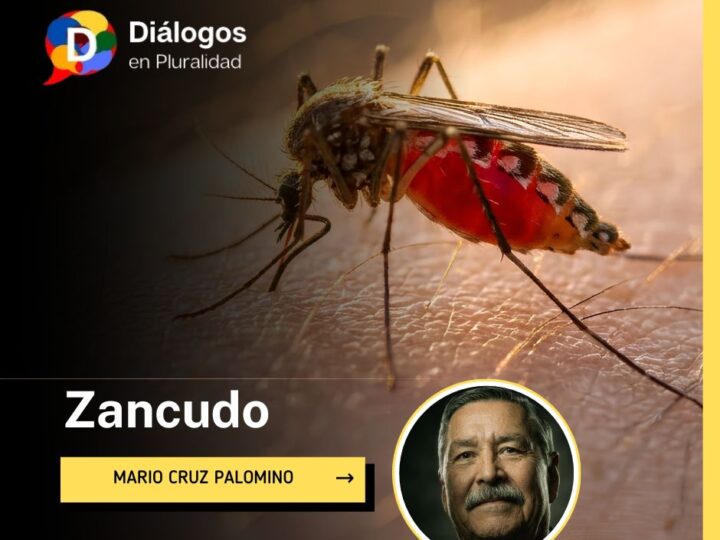 Zancudo