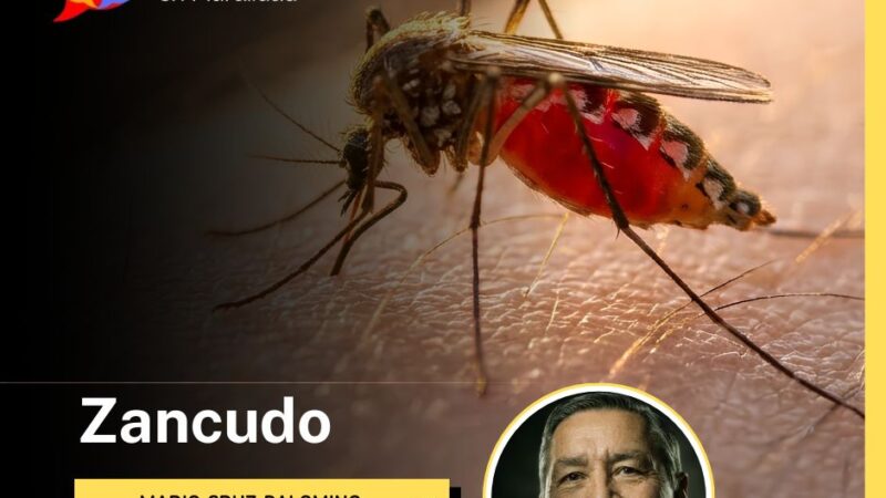 Zancudo
