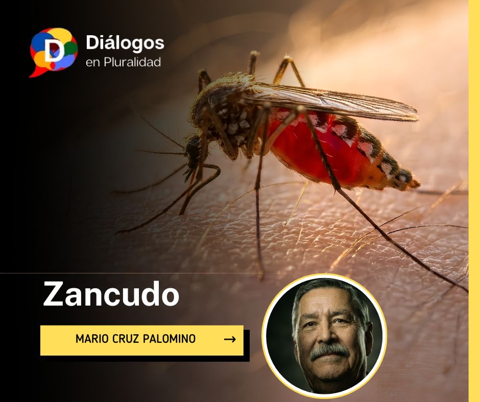 Zancudo