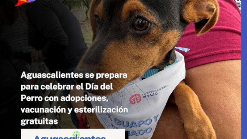 Aguascalientes se prepara para celebrar el Día del Perro con adopciones, vacunación y esterilización gratuitas