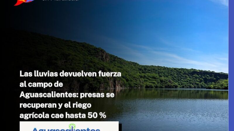 Las lluvias devuelven fuerza al campo de Aguascalientes: presas se recuperan y el riego agrícola cae hasta 50 %