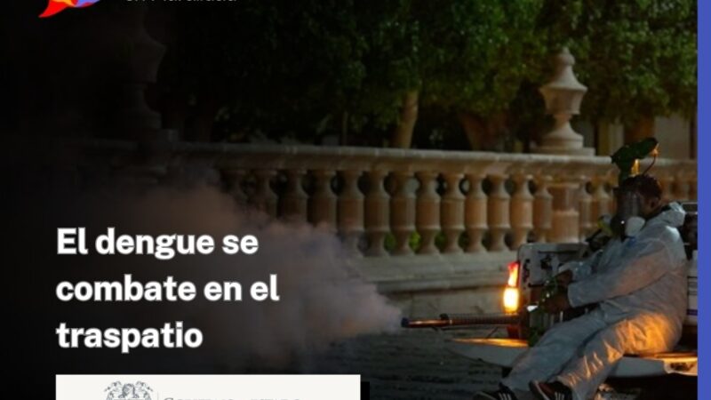 El dengue se combate en el traspatio