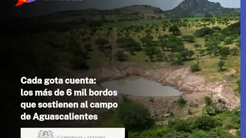 Cada gota cuenta: los más de 6 mil bordos que sostienen al campo de Aguascalientes