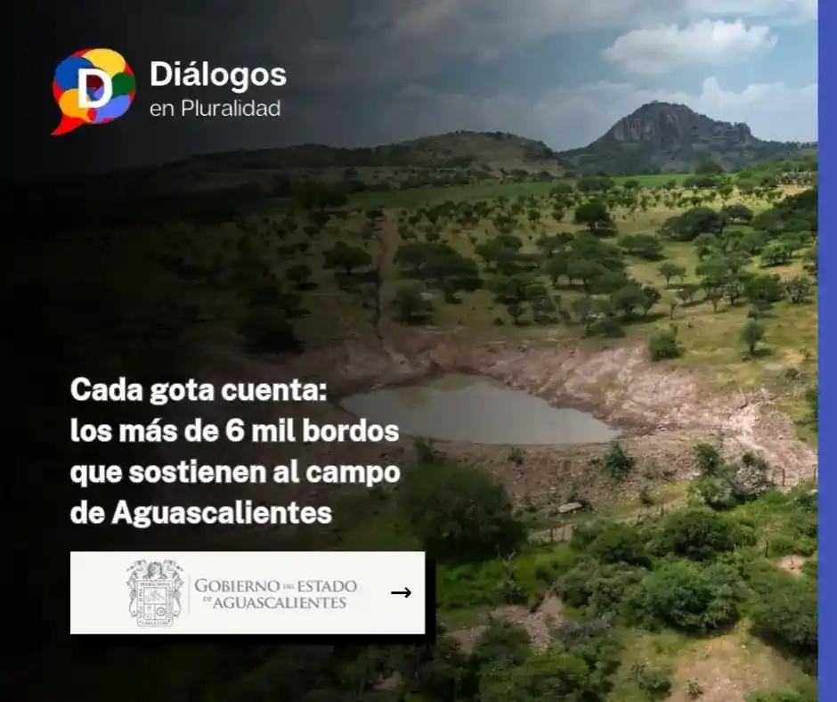 Cada gota cuenta: los más de 6 mil bordos que sostienen al campo de Aguascalientes