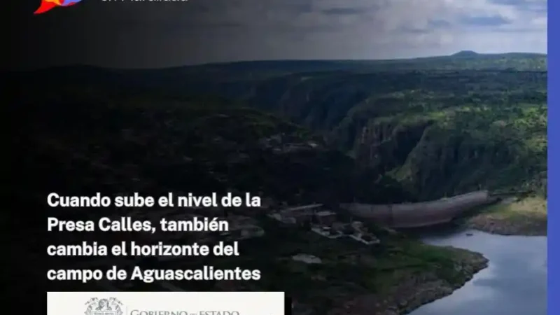 Cuando sube el nivel de la Presa Calles, también cambia el horizonte del campo de Aguascalientes