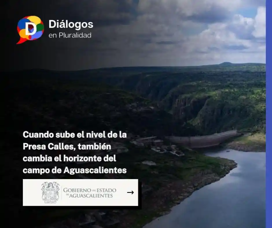 Cuando sube el nivel de la Presa Calles, también cambia el horizonte del campo de Aguascalientes
