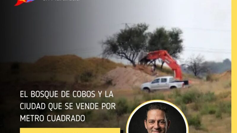El Bosque de Cobos y la ciudad que se vende por metro cuadrado