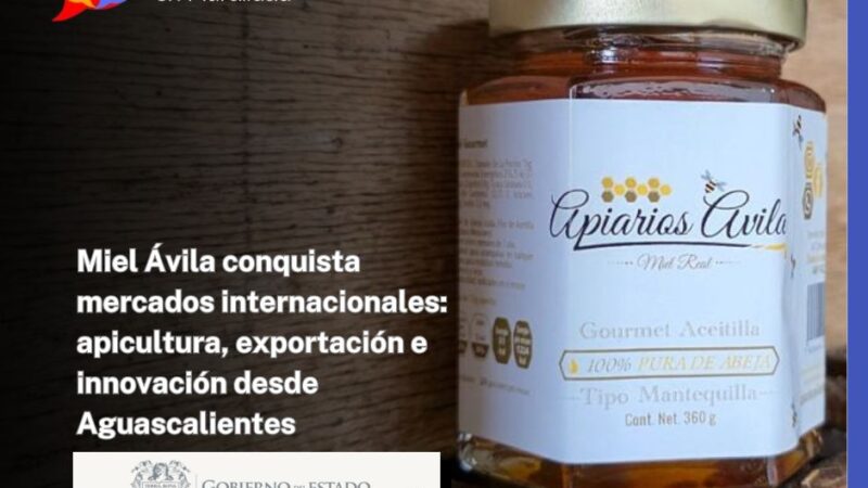 Miel Ávila conquista mercados internacionales: apicultura, exportación e innovación desde Aguascalientes
