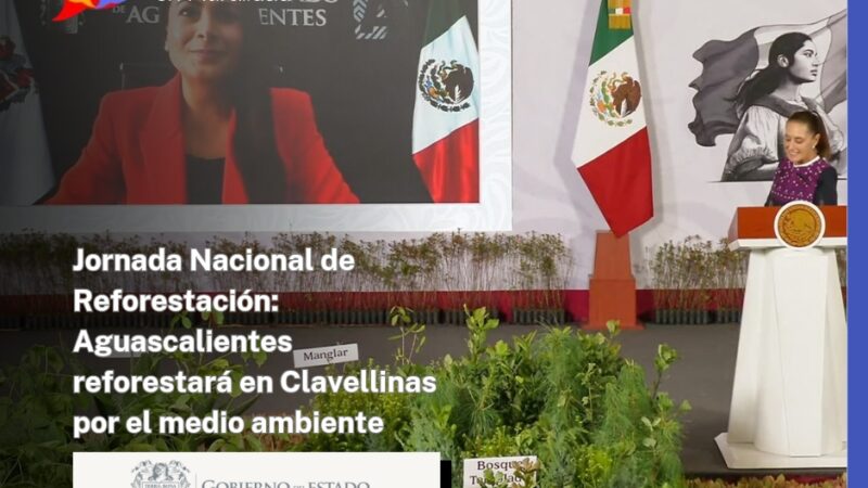 Jornada Nacional de Reforestación: Aguascalientes reforestará en Clavellinas por el medio ambiente