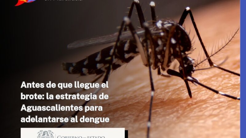Antes de que llegue el brote: la estrategia de Aguascalientes para adelantarse al dengue