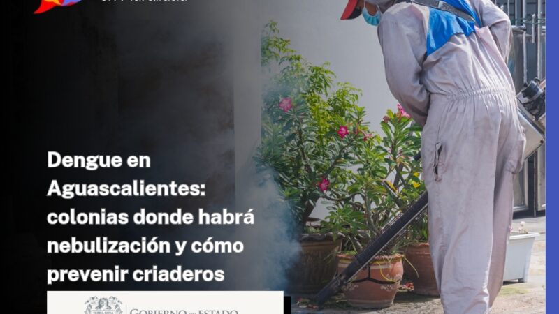 Dengue en Aguascalientes: colonias donde habrá nebulización y cómo prevenir criaderos