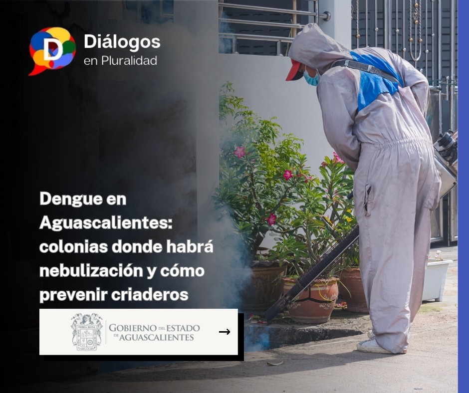 Dengue en Aguascalientes: colonias donde habrá nebulización y cómo prevenir criaderos