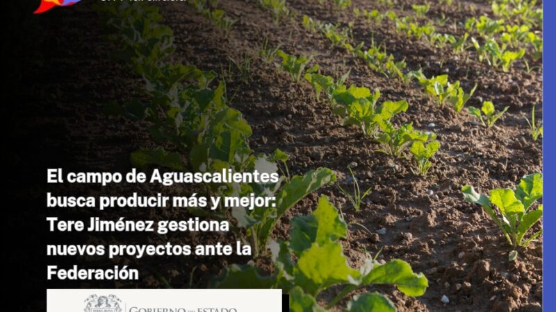 El campo de Aguascalientes busca producir más y mejor: Tere Jiménez gestiona nuevos proyectos ante la Federación