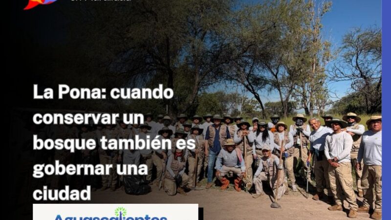 La Pona: cuando conservar un bosque también es gobernar una ciudad