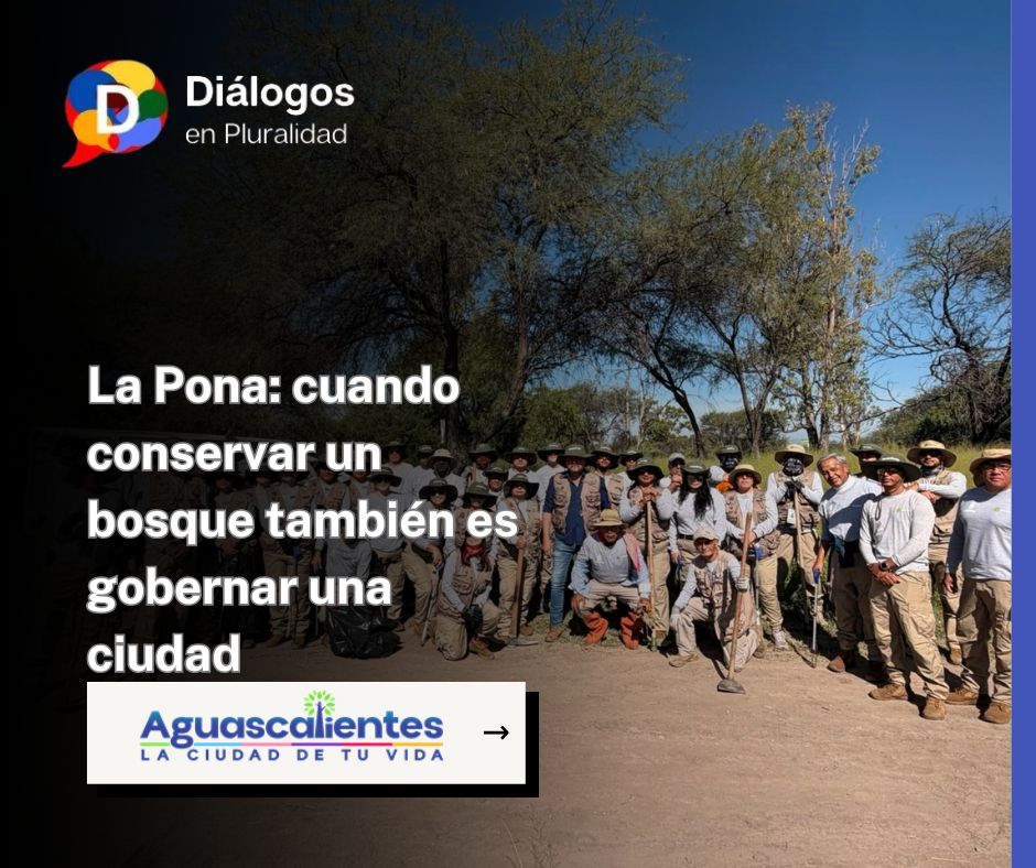 La Pona: cuando conservar un bosque también es gobernar una ciudad