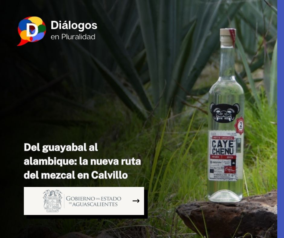 Del guayabal al alambique: la nueva ruta del mezcal en Calvillo