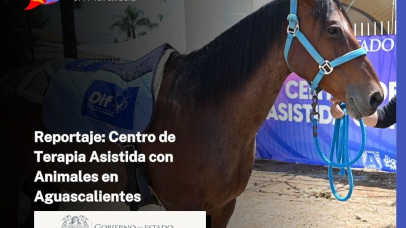 Reportaje: Centro de Terapia Asistida con Animales en Aguascalientes