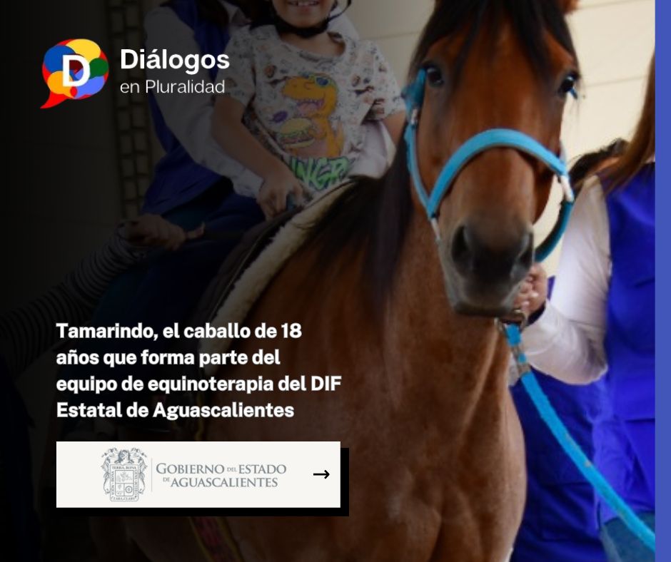 Tamarindo, el caballo de 18 años que forma parte del equipo de equinoterapia del DIF Estatal de Aguascalientes
