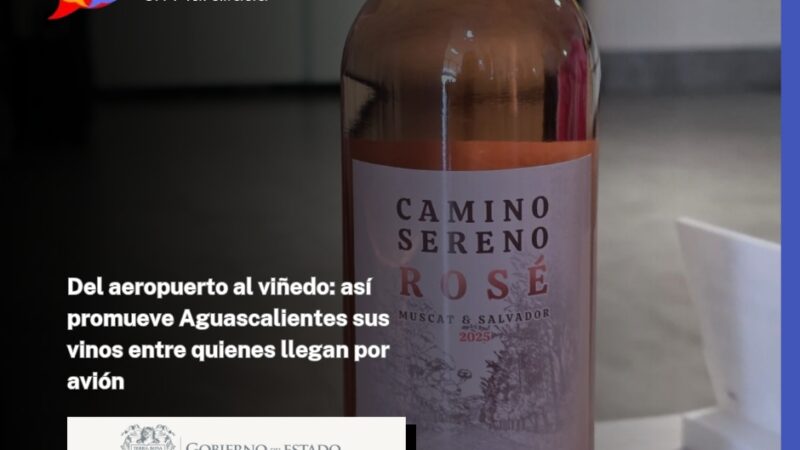 Del aeropuerto al viñedo: así promueve Aguascalientes sus vinos entre quienes llegan por avión