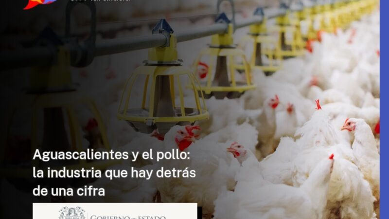 Aguascalientes y el pollo: la industria que hay detrás de una cifra