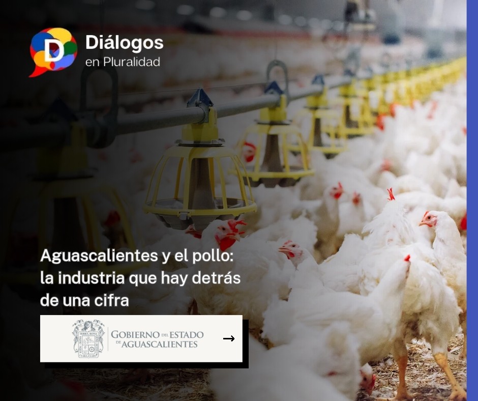 Aguascalientes y el pollo: la industria que hay detrás de una cifra