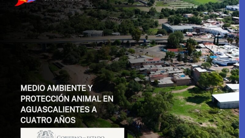 MEDIO AMBIENTE Y PROTECCIÓN ANIMAL EN AGUASCALIENTES A CUATRO AÑOS