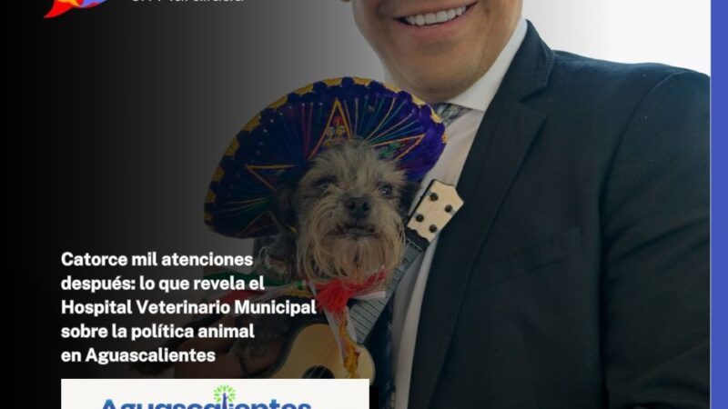 Catorce mil atenciones después: lo que revela el Hospital Veterinario Municipal sobre la política animal en Aguascalientes