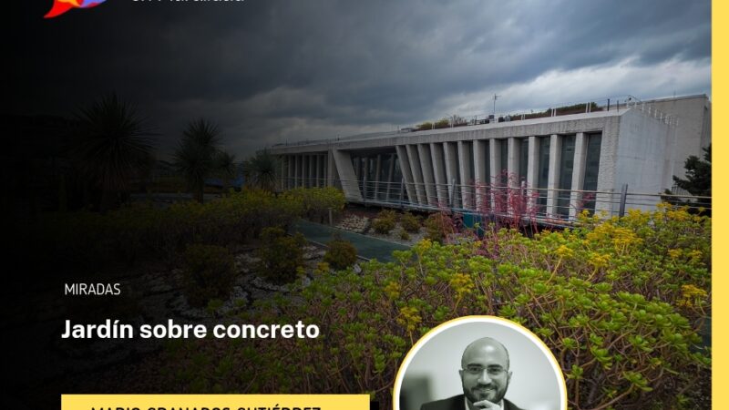 Jardín sobre concreto
