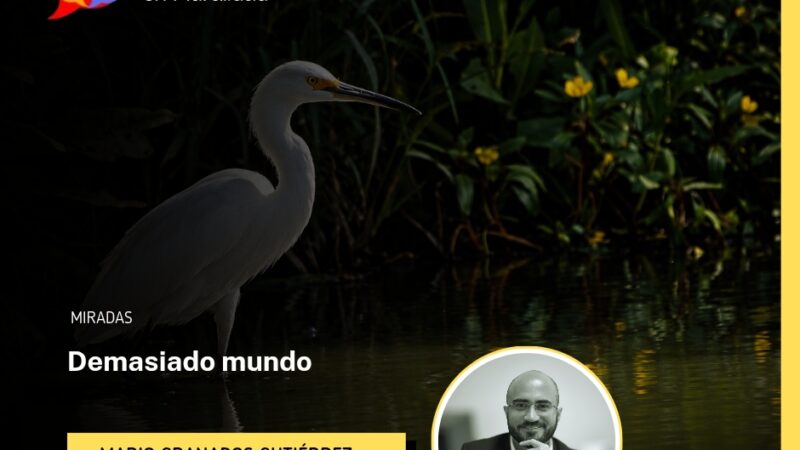 La garza