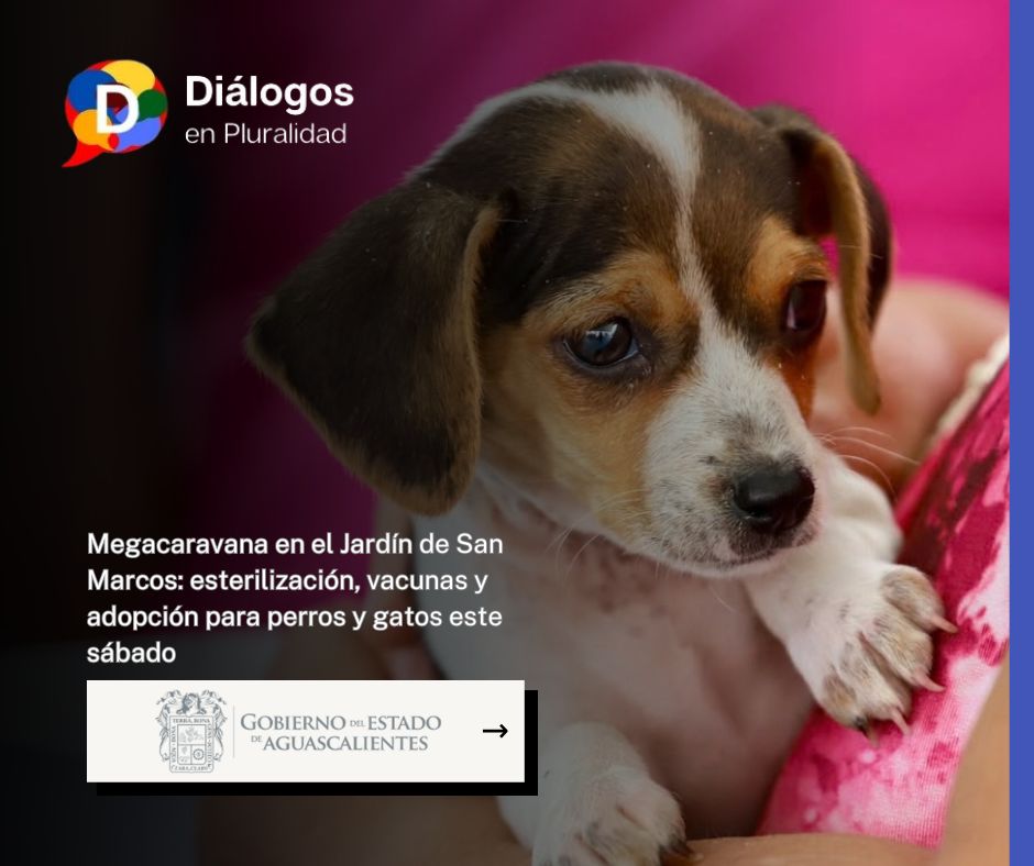 Megacaravana en el Jardín de San Marcos: esterilización, vacunas y adopción para perros y gatos este sábado