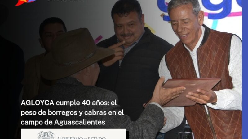 AGLOYCA cumple 40 años: el peso de borregos y cabras en el campo de Aguascalientes
