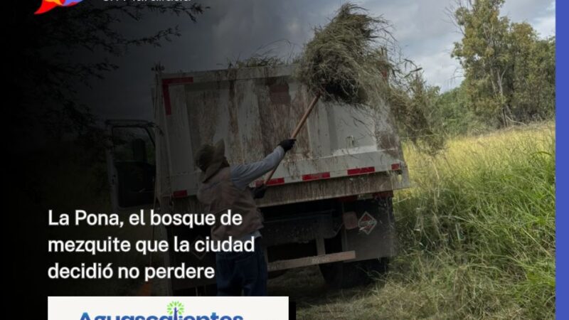 La Pona, el bosque de mezquite que la ciudad decidió no perder