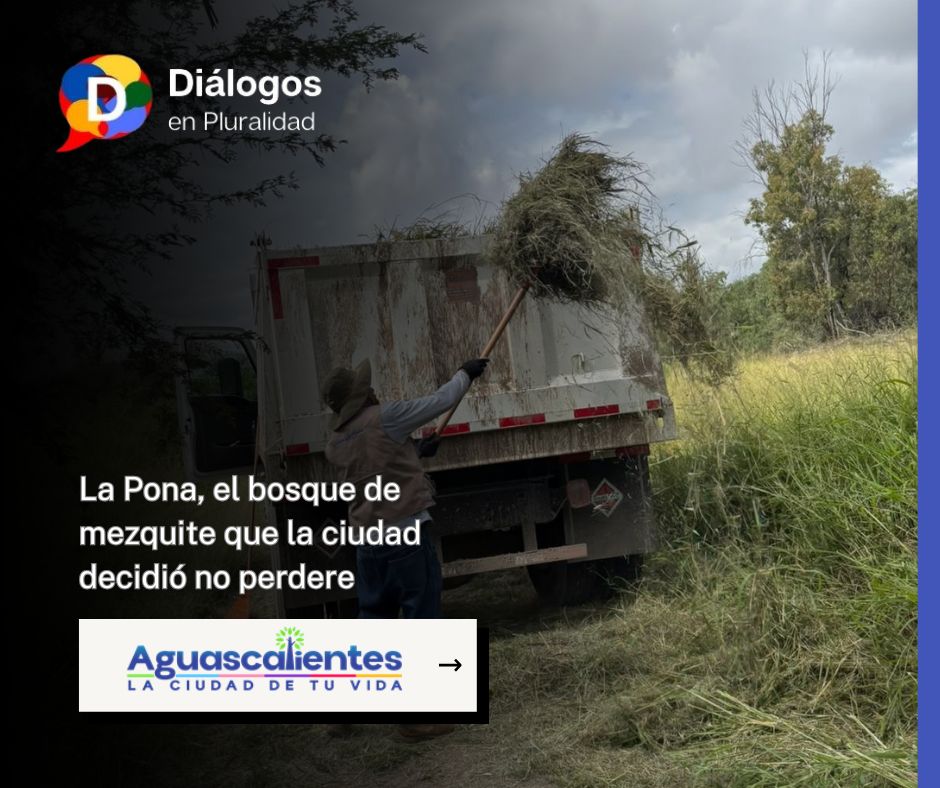 La Pona, el bosque de mezquite que la ciudad decidió no perder