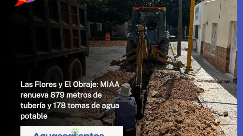Las Flores y El Obraje: MIAA renueva 879 metros de tubería y 178 tomas de agua potable