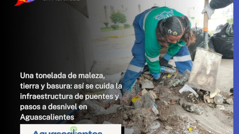 Una tonelada de maleza, tierra y basura: así se cuida la infraestructura de puentes y pasos a desnivel en Aguascalientes