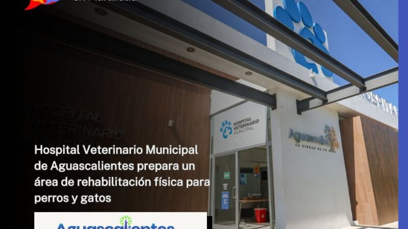 Hospital Veterinario Municipal de Aguascalientes prepara un área de rehabilitación física para perros y gatos