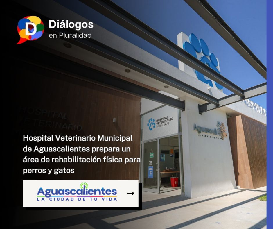 Hospital Veterinario Municipal de Aguascalientes prepara un área de rehabilitación física para perros y gatos